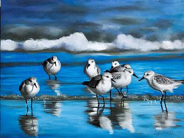 Shore Line Sanderlings - Sanderlings by Patsy Lindamood