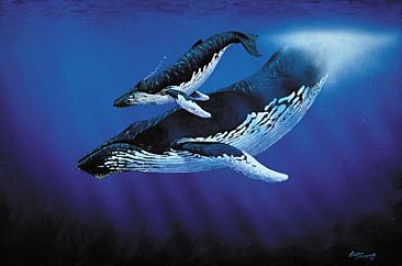 Humpback Whale and Calf - Humpback Whales by Barry Ingham