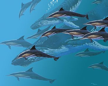 Surrounded - Common Dolphins by Barry Ingham