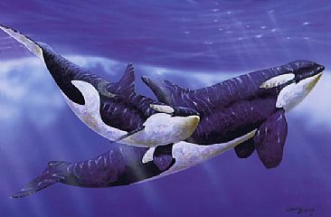 Orca  - Orca and Calf by Barry Ingham