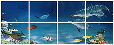 The bay N0.8 - Bottlenose Dolphins by Barry Ingham