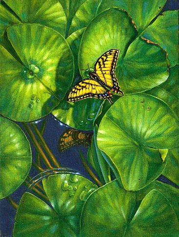 Exquisite Encounter - Tiger swallowtail butterfly on waterlilies by Mary Louise Holt
