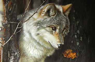 Young Female wolf - wolf by Julia Hargreaves