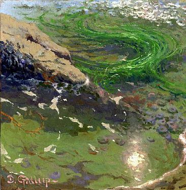 "Anemones and Sea Grass" - Tide Pool in California by David Gallup