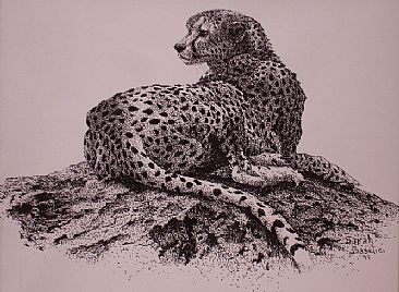 Cheetah - Cheetah on a Mound by Sarah Baselici