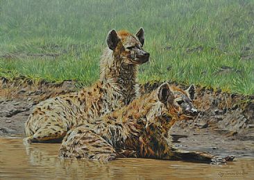 No Laughing matter - Spotted Hyenas by Guy Combes