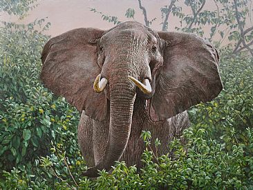 The Constant Gardener - Elephant by Guy Combes