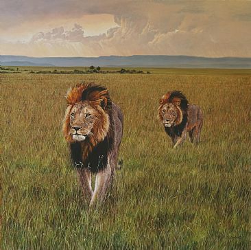 The Divine Right of Kings - Lions by Guy Combes