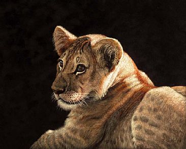 Golden afternoon - lion cub by Judy Scotchford