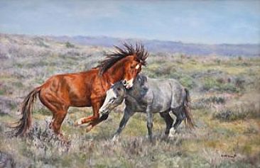 Gotcha - Wild mustangs of Sand Wash Basin by Michelle McCune