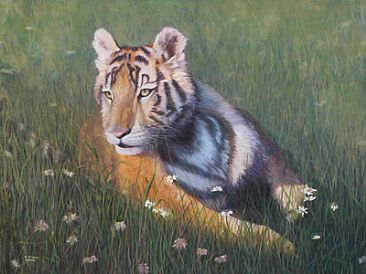 Joy - Tiger cub by Michelle McCune