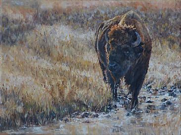 Sundowner - American bison by Michelle McCune