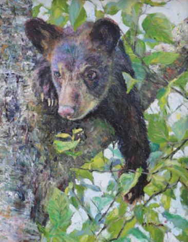 Roosevelt - Black bear cub by Michelle McCune