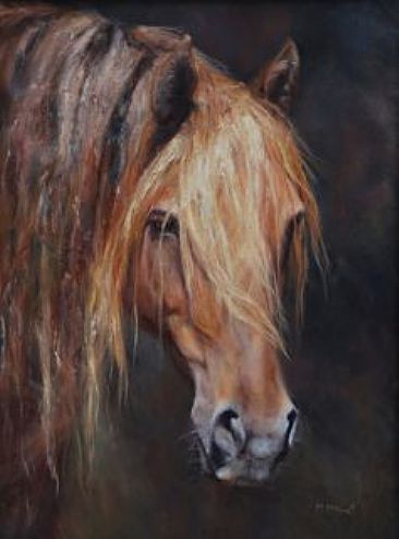 Spanish Lights - Spanish Mustang mare by Michelle McCune