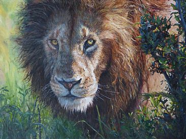 Better Hide! - African Lion by Michelle McCune
