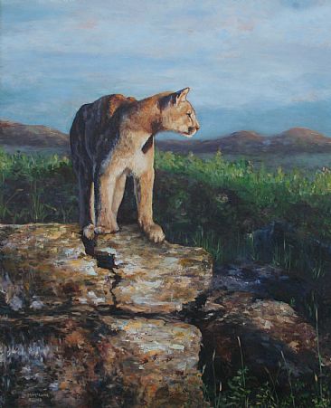 Comes the Dawn - Mountain Lion at Sunrise by Michelle McCune