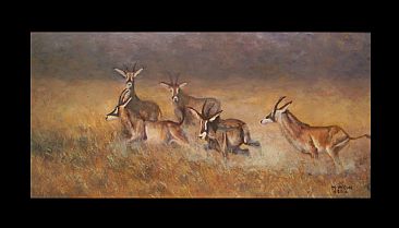 On the Roan - Roan Antelope in Hwange National Park - Zimbabwe by Michelle McCune