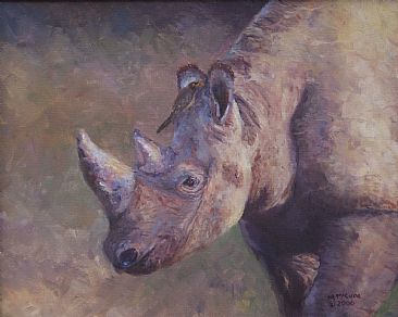 Rhino and Friend - Black Rhino (juvenile) in Zimbabwe by Michelle McCune