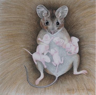 mouse mother (earth mothers series) - life givers by Hilde_Aga Brun