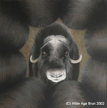 musk ox (part of earth mothers series) - life givers by Hilde_Aga Brun