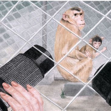 zoo-m - life givers by Hilde_Aga Brun