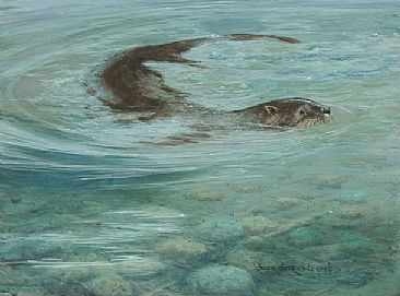 Glacier Waters - River Otter by Suzie Seerey-Lester