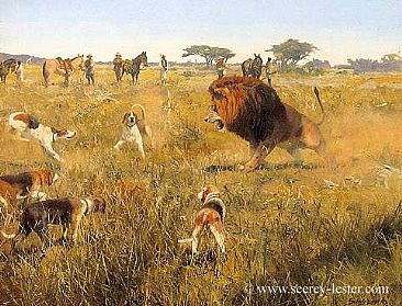 Lion at Bay - Historic Hunts by John Seerey-Lester