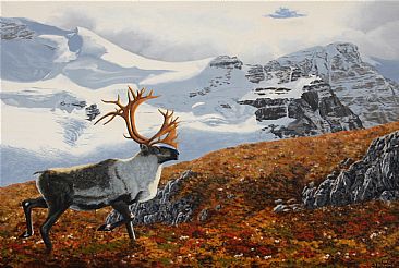 Caribou - caribou by Chris Frolking