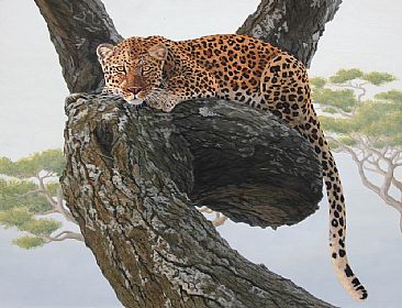 Serengeti Leopard - African leopard in a tree by Chris Frolking