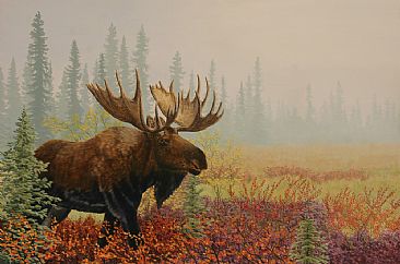 Taiga Moose - Bull moose in the Brooks Range by Chris Frolking