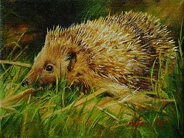 One in a million - Hedgehog by Lorna Hamilton