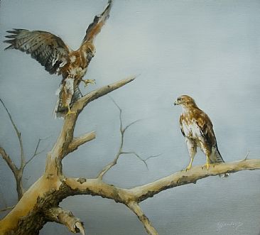 The Watchpost - Common Buzzard by Lorna Hamilton
