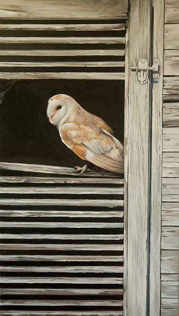The Watchman - Barn Owl by Lorna Hamilton