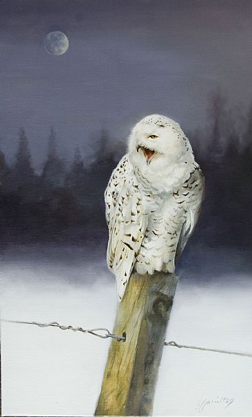 Ghost of the North - Snowy Owl by Lorna Hamilton