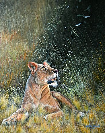 Into The Light. - Lioness. by David Prescott