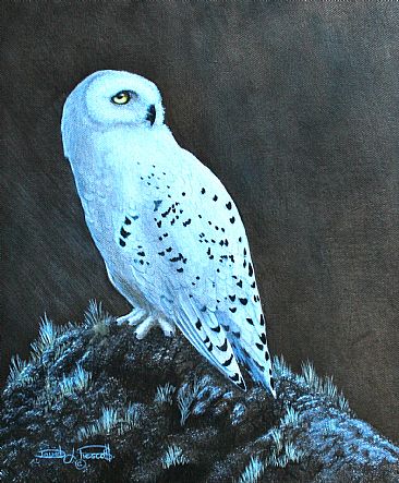 Snowy Owl (Sold). - Snowy Owl. by David Prescott
