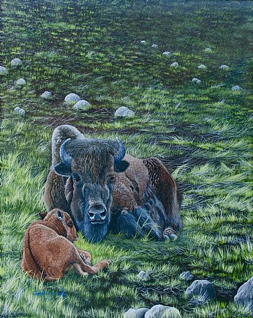 Quiet Time - North American Bison by David Prescott