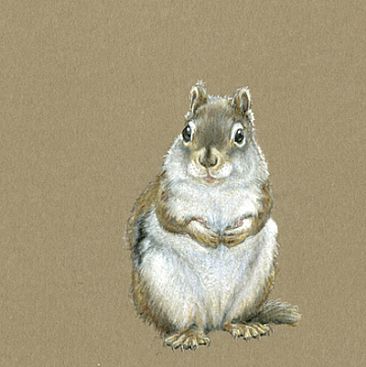Boomer - Red Squirrel by Vicki Ferguson