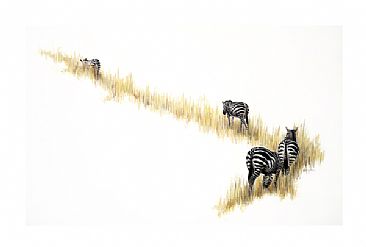 Follow the Leader - African big game - zebras by Vicki Ferguson