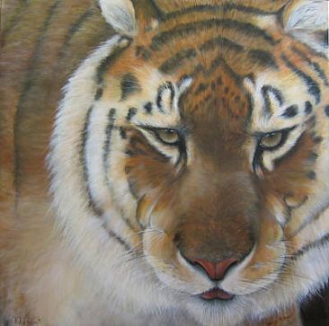 Khasam - Tiger - Siberian Amur Tiger by Wendy Palmer