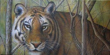 Silent Pursuit - Tiger - Bengal Tiger by Wendy Palmer