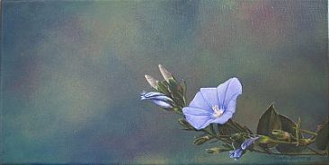 Morning Glory - Flowers - Morning Glory by Wendy Palmer