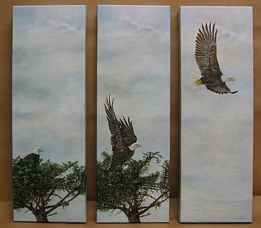 Taking Flight - Eagle - Bald Eagle by Wendy Palmer