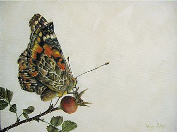 Madame Butterfly - Painted Lady Butterfly - Butterfly by Wendy Palmer