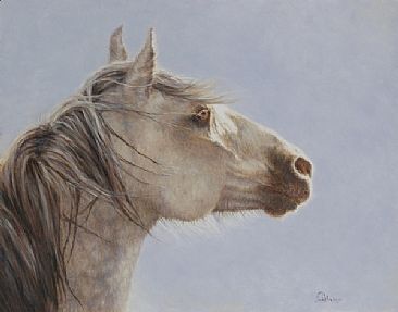 Freedom - Mustang by Linda Walker