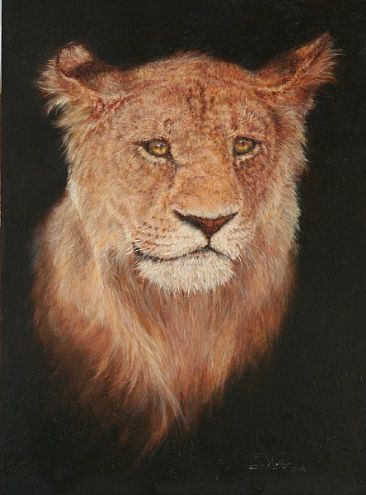 Lioness -  by Linda Walker