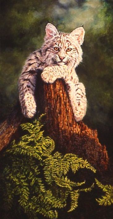 Stumped - Bobcat kitten by Linda Walker