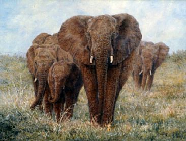 Elephant Walk - African Elephants by Linda Walker