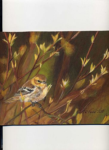 Springtime  (sold) - bird by LaVerne Hill