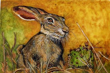 March Madness  (sold) - Jackrabbit by LaVerne Hill